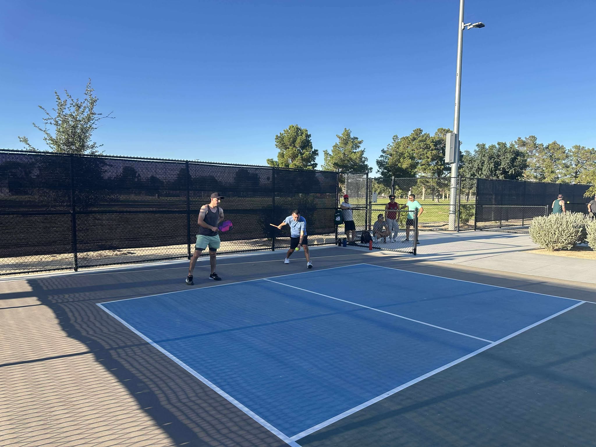 Pickleball paddles and balls